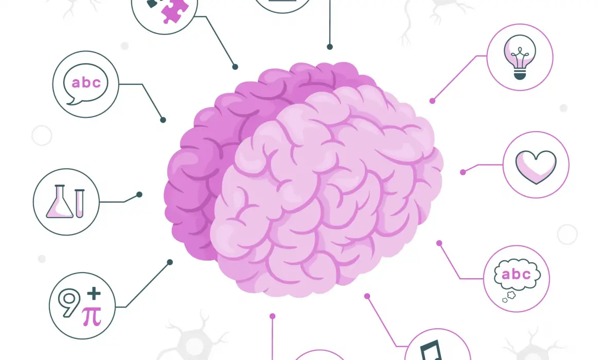 Cattel 2-A Zeka Testi